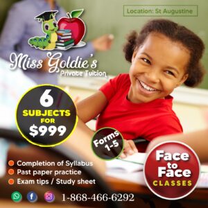VIP 6 SUBJECT (FACE TO FACE)