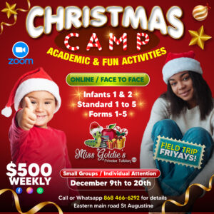 Standard 2 Registration & Assessment Christmas Package